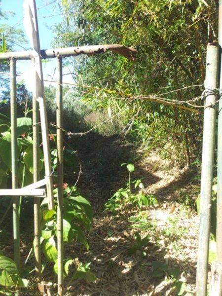 Terreno à venda  com 2885m², Estrada Gedeon Leite no bairro Aberta dos Morros em Porto Alegre