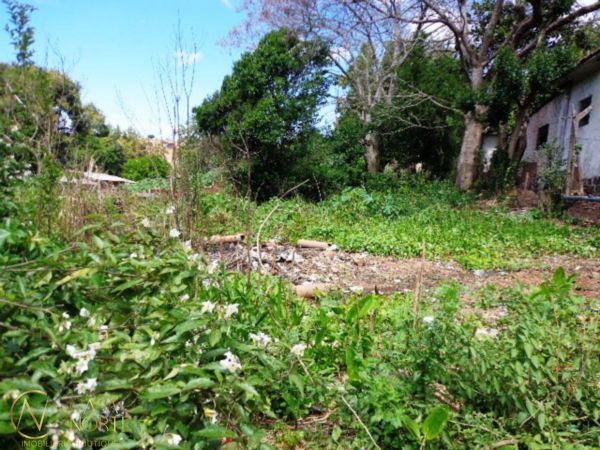 Terreno à venda , 600m², Travessa Doutor Mário Totta no bairro Camaquã em Porto Alegre