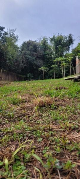 Terreno à venda  com 300m², Rua Armando Czamanski no bairro Ipanema em Porto Alegre