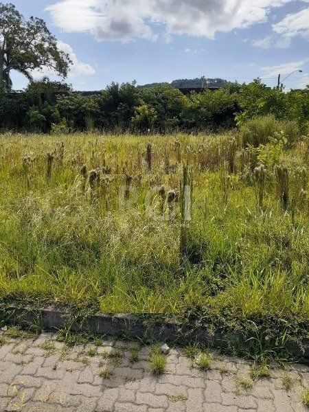Terreno à venda  com 125m², Rua Jorge Babot Miranda no bairro Aberta dos Morros em Porto Alegre
