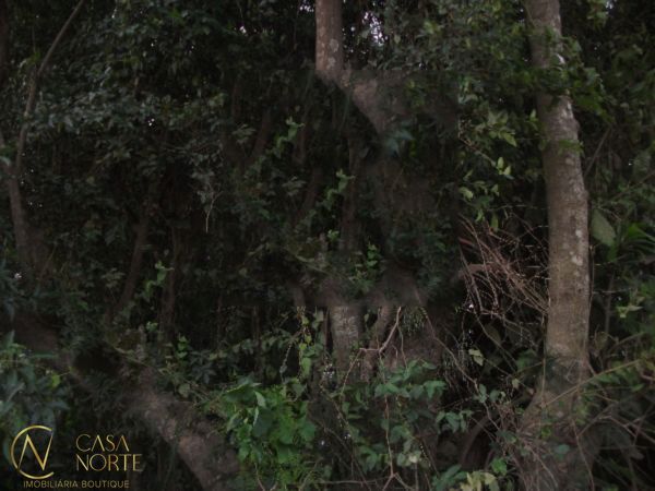 Terreno à venda  com 1350m², Avenida Edgar Pires de Castro no bairro Aberta dos Morros em Porto Alegre