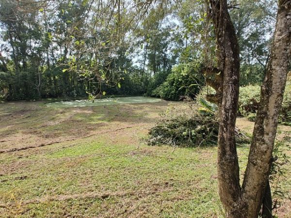 Sítio à venda , 6120m², Rua Adão Martins da Rocha no bairro São Caetano em Porto Alegre