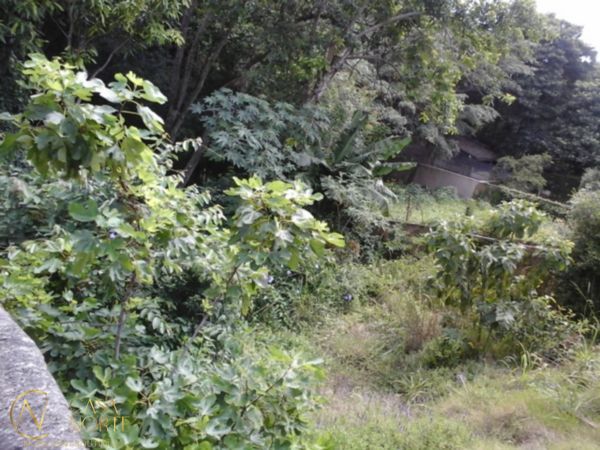 Terreno à venda  com 719m², Rua Silverio Souto no bairro Teresópolis em Porto Alegre