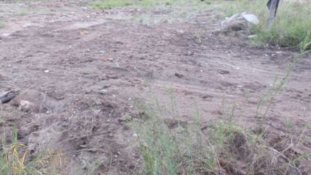 Terreno à venda  com 5670m², Estrada Costa Gama no bairro Hípica em Porto Alegre