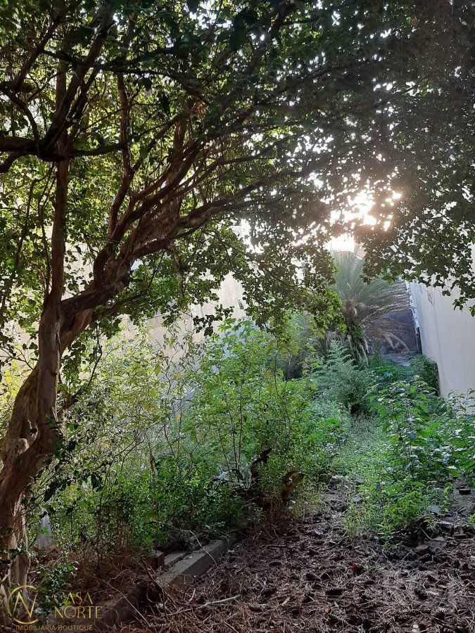 Terreno à venda  com 418m², Rua Coronel Paulino Teixeira no bairro Rio Branco em Porto Alegre