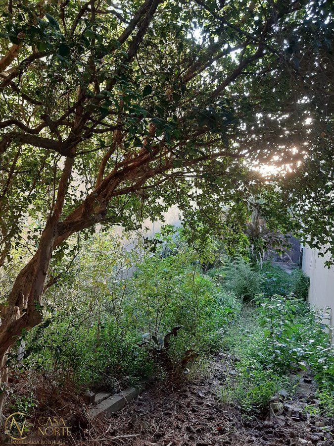 Terreno à venda  com 418m², Rua Coronel Paulino Teixeira no bairro Rio Branco em Porto Alegre