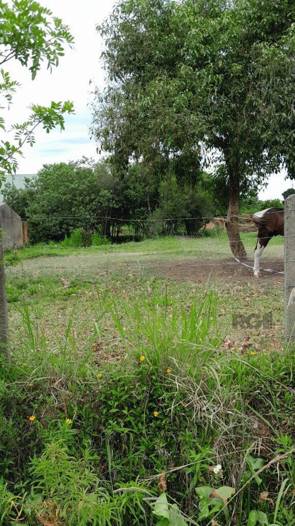 Terreno à venda  com 1000m², Rua Oito Mil e Dezessete no bairro Lageado em Porto Alegre