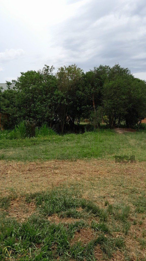 Terreno à venda  com 1000m², Rua Oito Mil e Dezessete no bairro Lageado em Porto Alegre