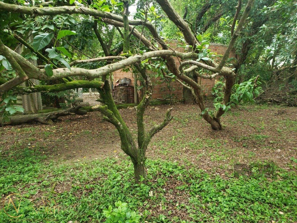 Terreno à venda , 86m², Rua Luiz Otávio no bairro Belém Velho em Porto Alegre