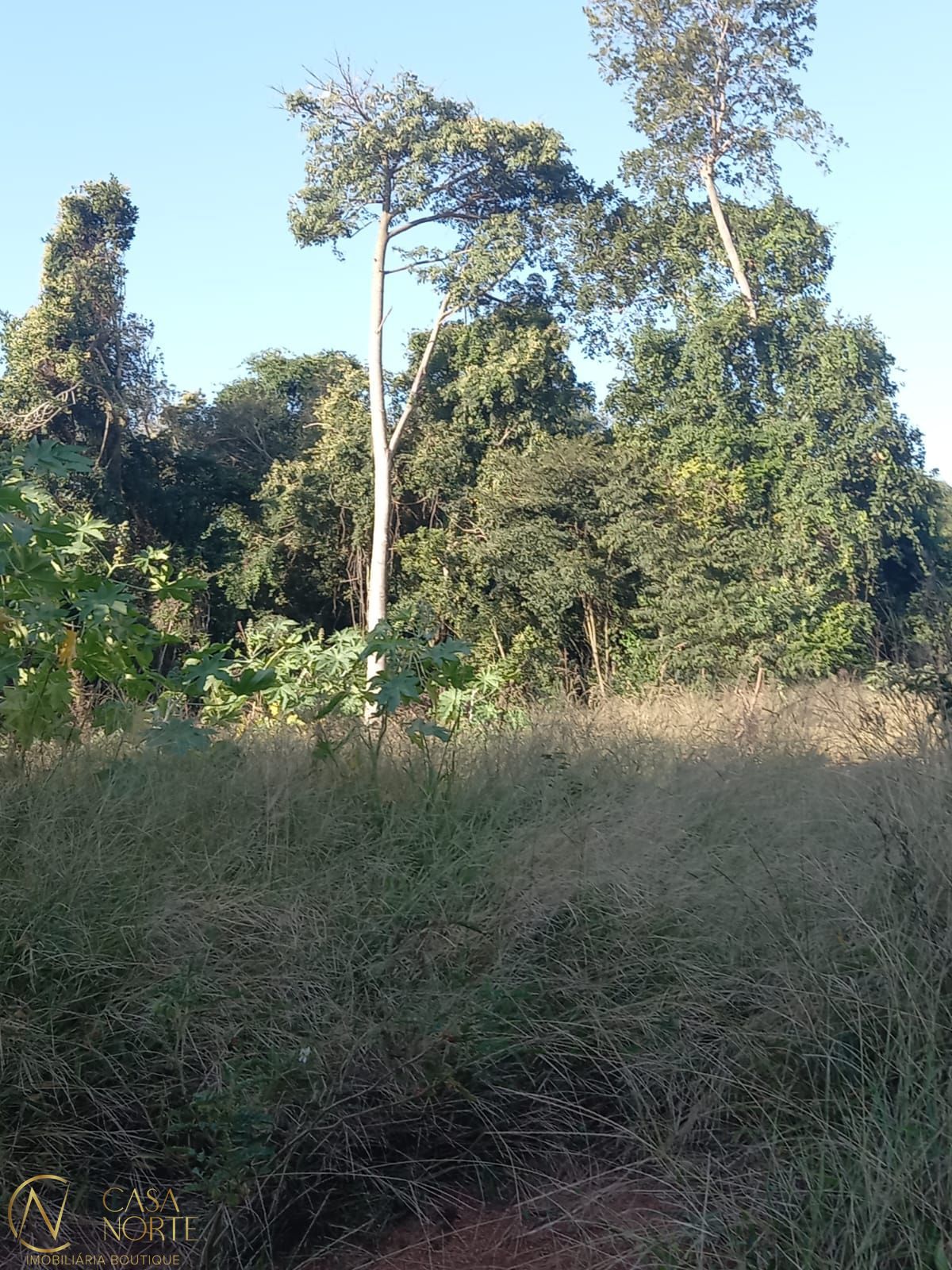 Terreno à venda  com 396m², Rua Alcebíades Antônio dos Santos no bairro Nonoai em Porto Alegre