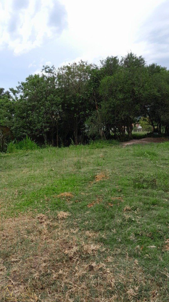 Terreno à venda  com 1000m², Rua Oito Mil e Dezessete no bairro Lageado em Porto Alegre