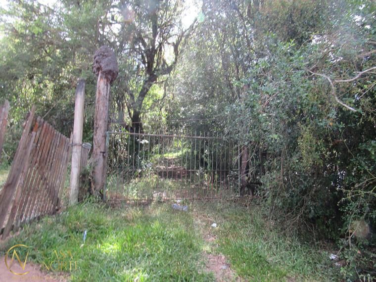 Sítio à venda  com 53851m², Beco da Paixão no bairro Lomba do Pinheiro em Porto Alegre