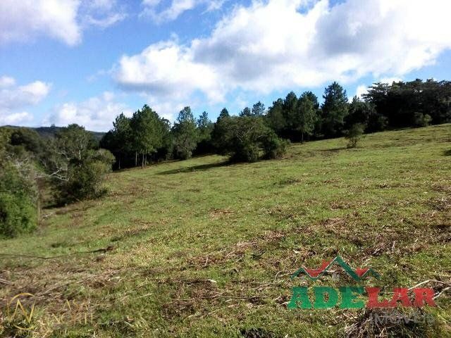 Sítio à venda , 1500m², Estrada Armando Inácio da Silveira no bairro Extrema em Porto Alegre