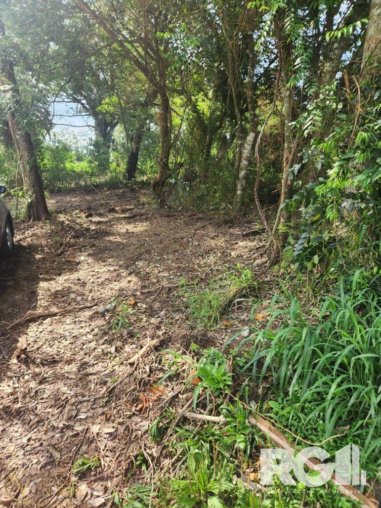 Terreno à venda  com 320m², Avenida Edgar Pires de Castro no bairro Lageado em Porto Alegre