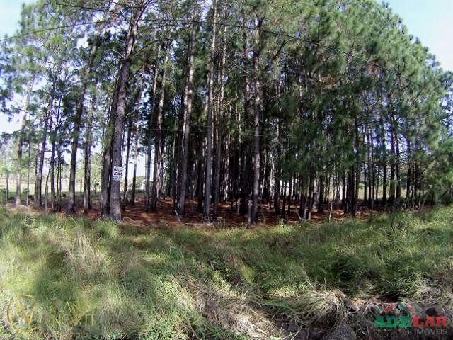 Terreno à venda  com 3060m², Estrada São Caetano no bairro Lami em Porto Alegre
