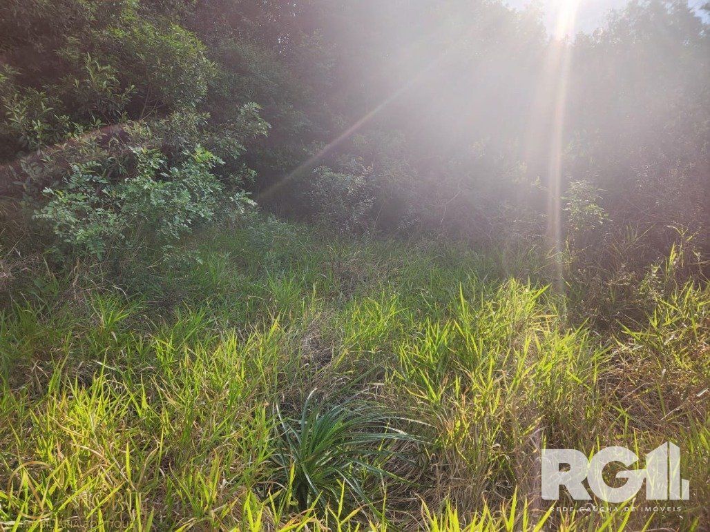 Terreno à venda  com 800m², Rua Oito Mil Oitocentos e Quarenta e Oito no bairro Lageado em Porto Alegre