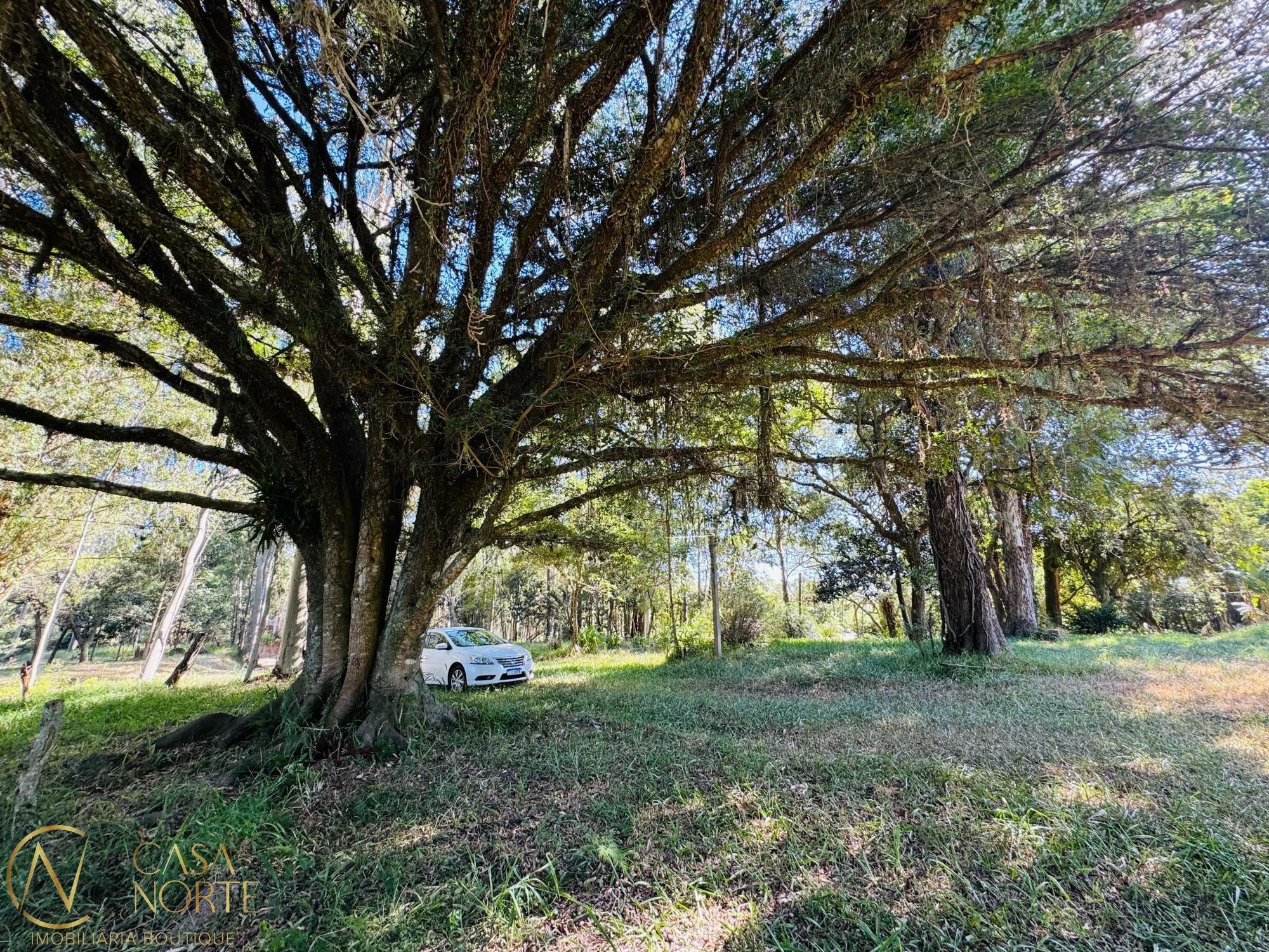 Área Rural à venda  com 225m², Avenida Edgar Pires de Castro no bairro Lageado em Porto Alegre