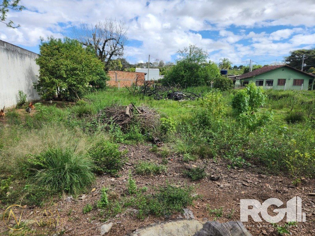 Terreno à venda  com 880m², Avenida do Lami no bairro Boa Vista do Sul em Porto Alegre