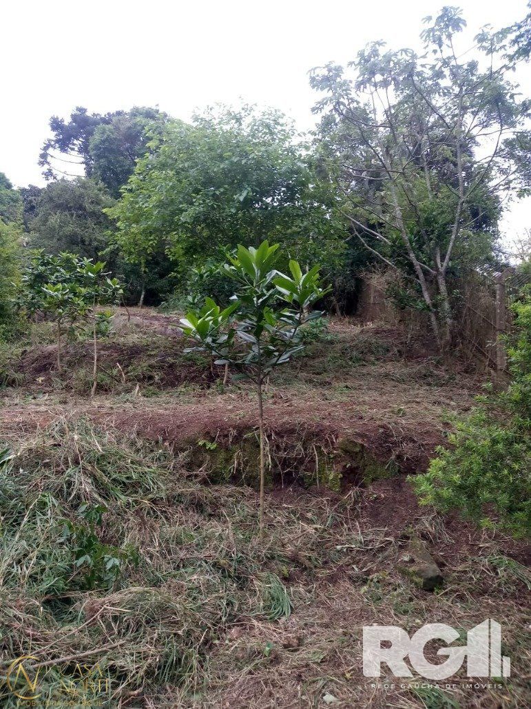 Terreno à venda , 678m², Rua João do Couto no bairro Belém Velho em Porto Alegre