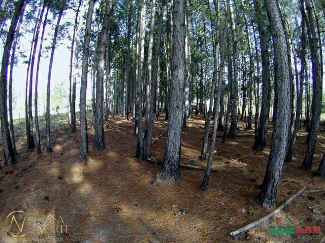 Terreno à venda  com 3060m², Estrada São Caetano no bairro Lami em Porto Alegre
