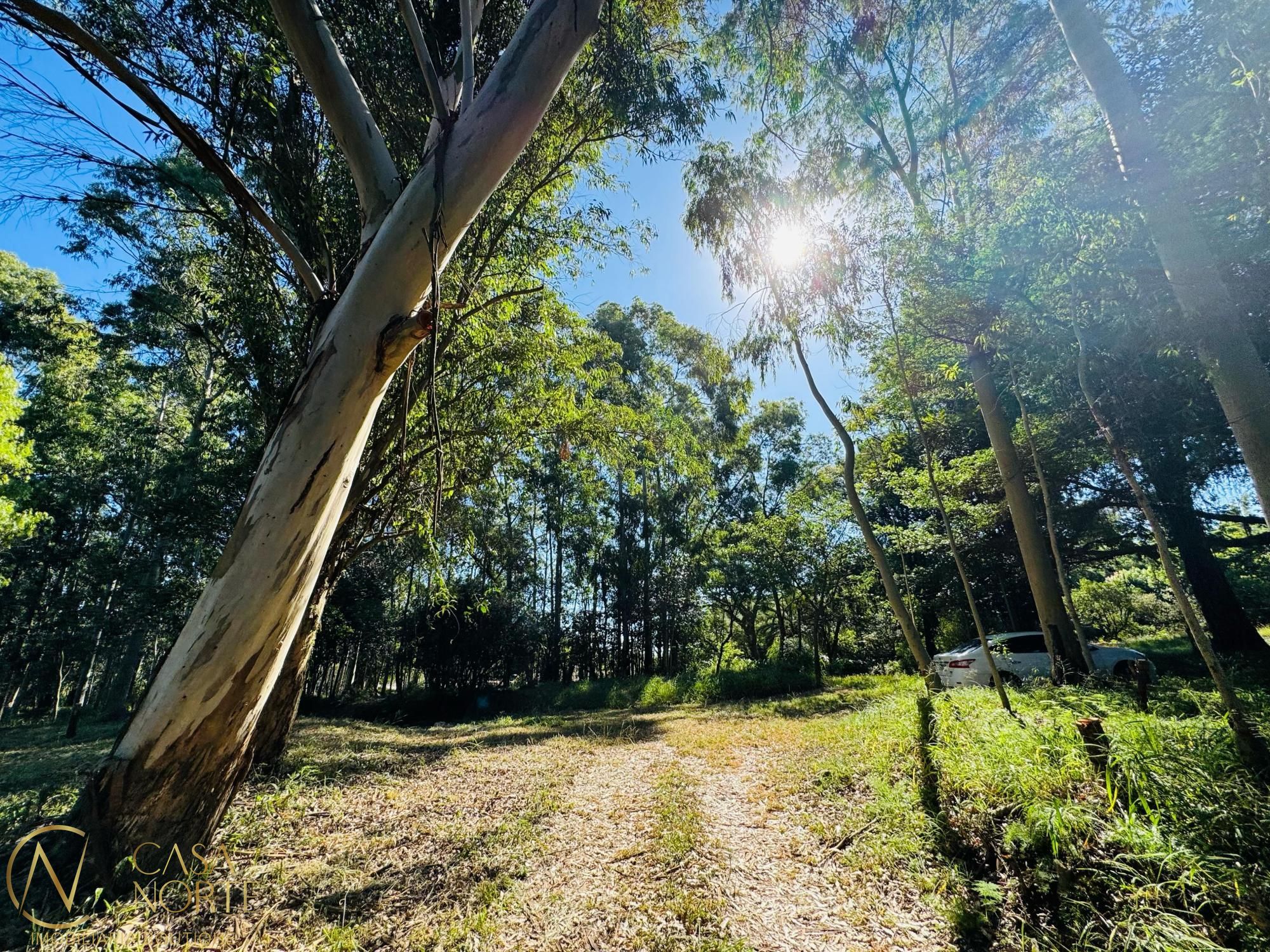 Área Rural à venda  com 225m², Avenida Edgar Pires de Castro no bairro Lageado em Porto Alegre