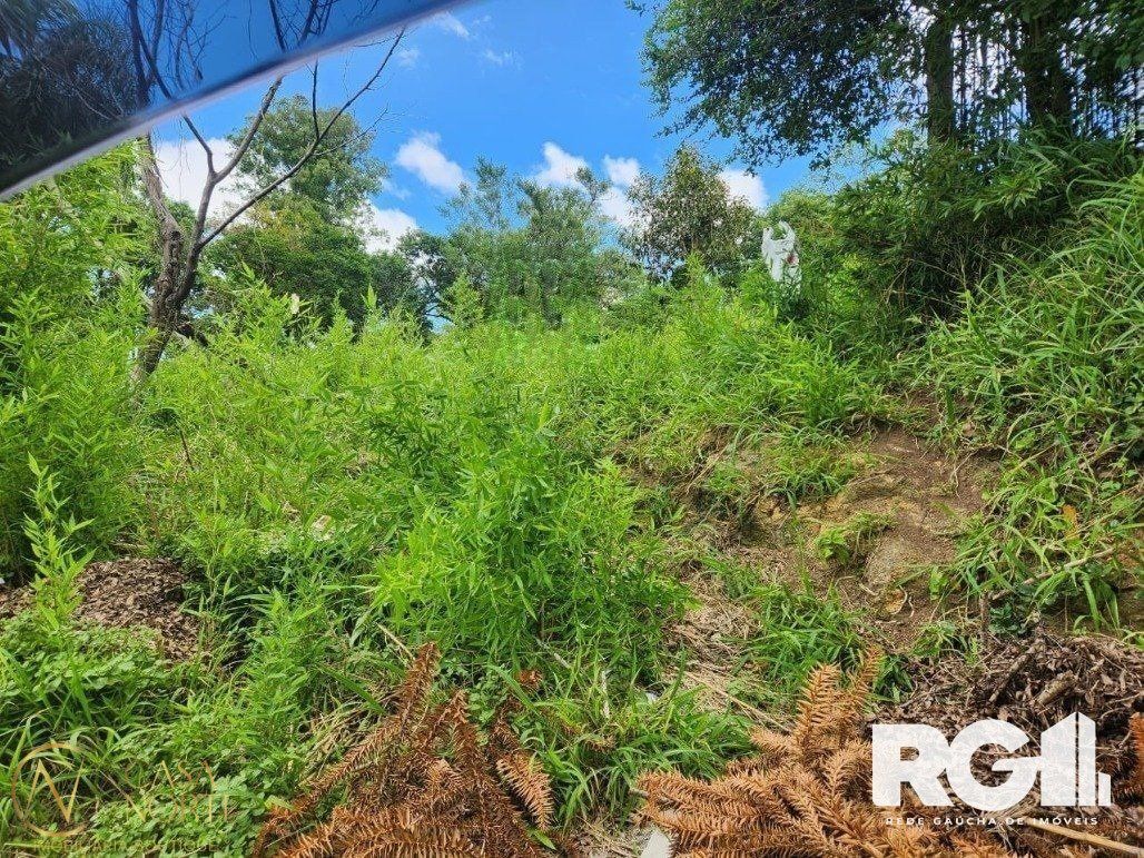 Terreno à venda , 678m², Rua João do Couto no bairro Belém Velho em Porto Alegre
