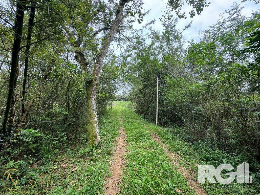 Sítio à venda com 3 quartos, 70m², 1 suíte, Estrada São Caetano no bairro Lami em Porto Alegre