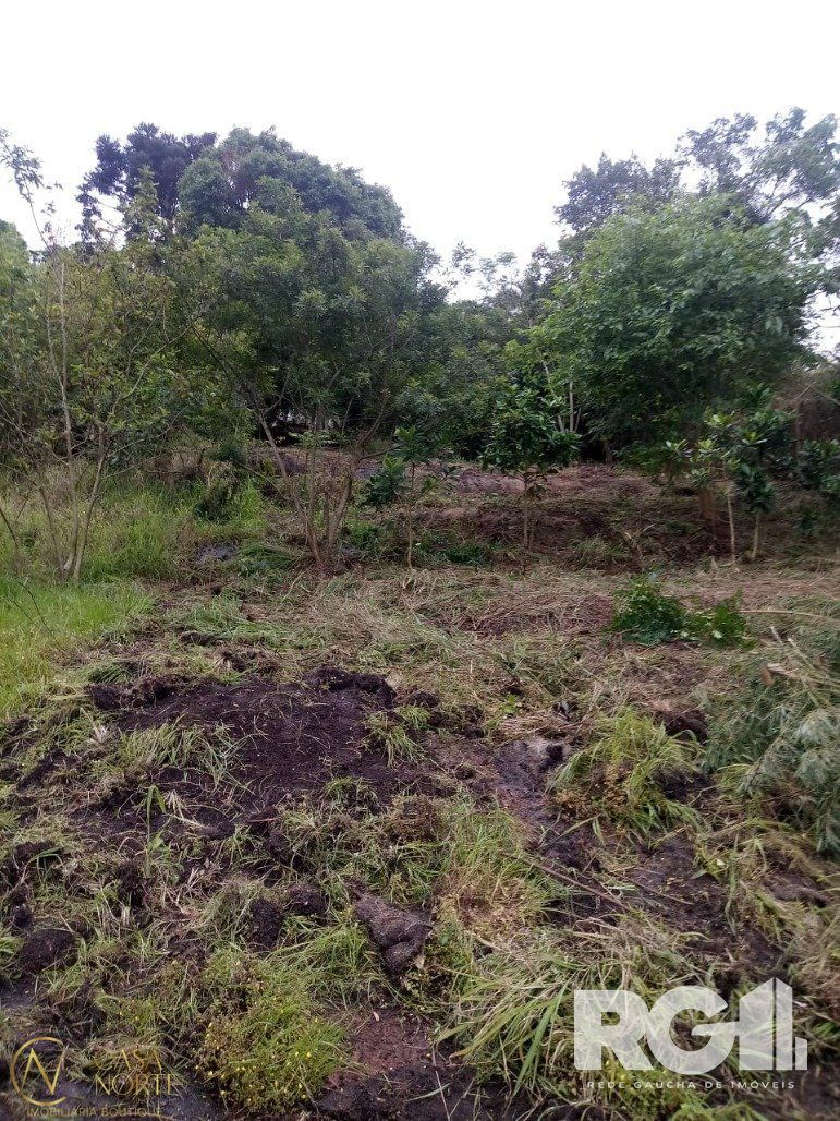 Terreno à venda , 678m², Rua João do Couto no bairro Belém Velho em Porto Alegre