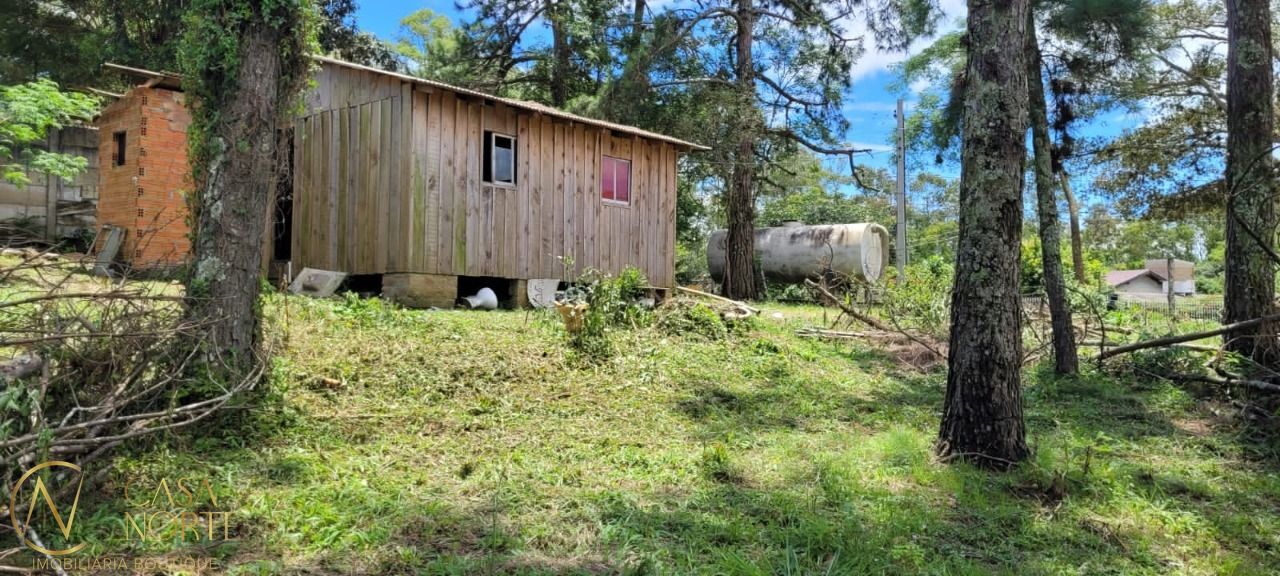 Terreno à venda  com 9000m², Estrada das Quirinas no bairro Lageado em Porto Alegre