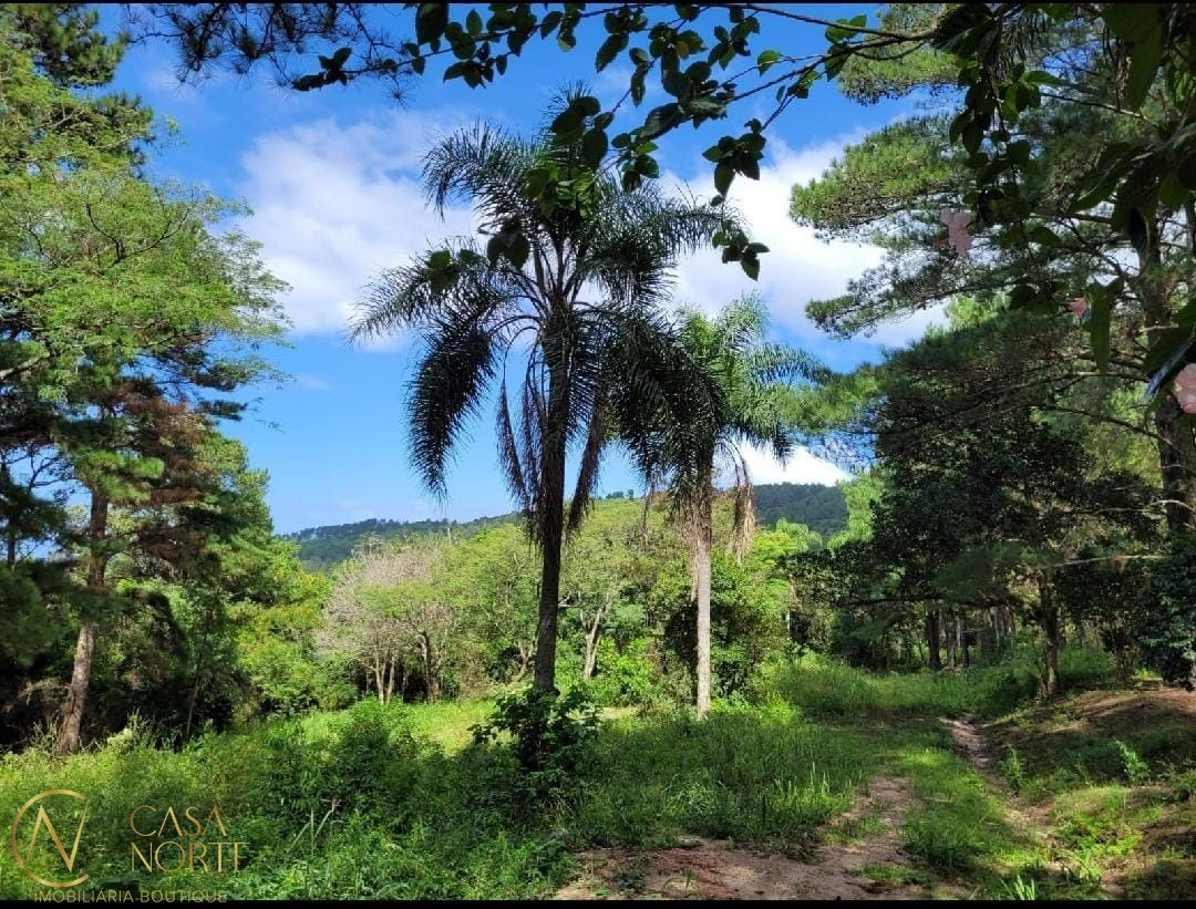 Terreno à venda  com 9000m², Estrada das Quirinas no bairro Lageado em Porto Alegre
