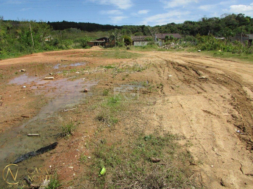 Terreno à venda  com 1591m², Rua Luciano dos Santos Rodrigues no bairro Belém Velho em Porto Alegre