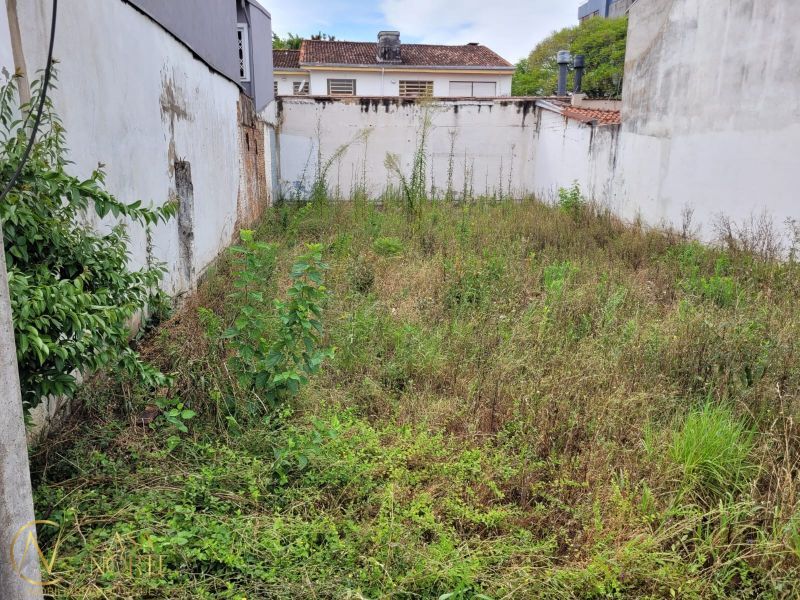Terreno à venda , 250m², Machado de Assis no bairro Jardim Botânico em Porto Alegre