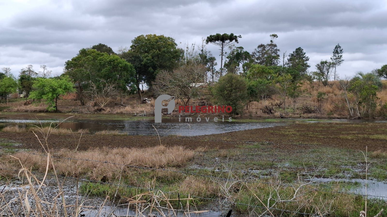 Chácara 2 dormitórios à venda zona rural tapes/rs