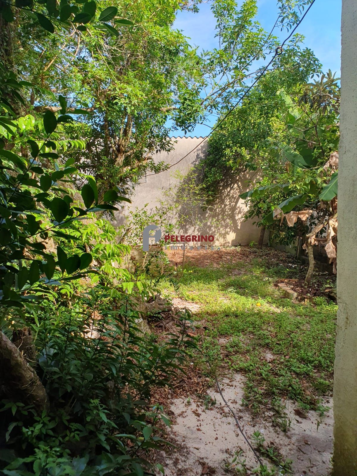 Pelegrino Imóveis vende casa no Bairro Pinvest em Tapes