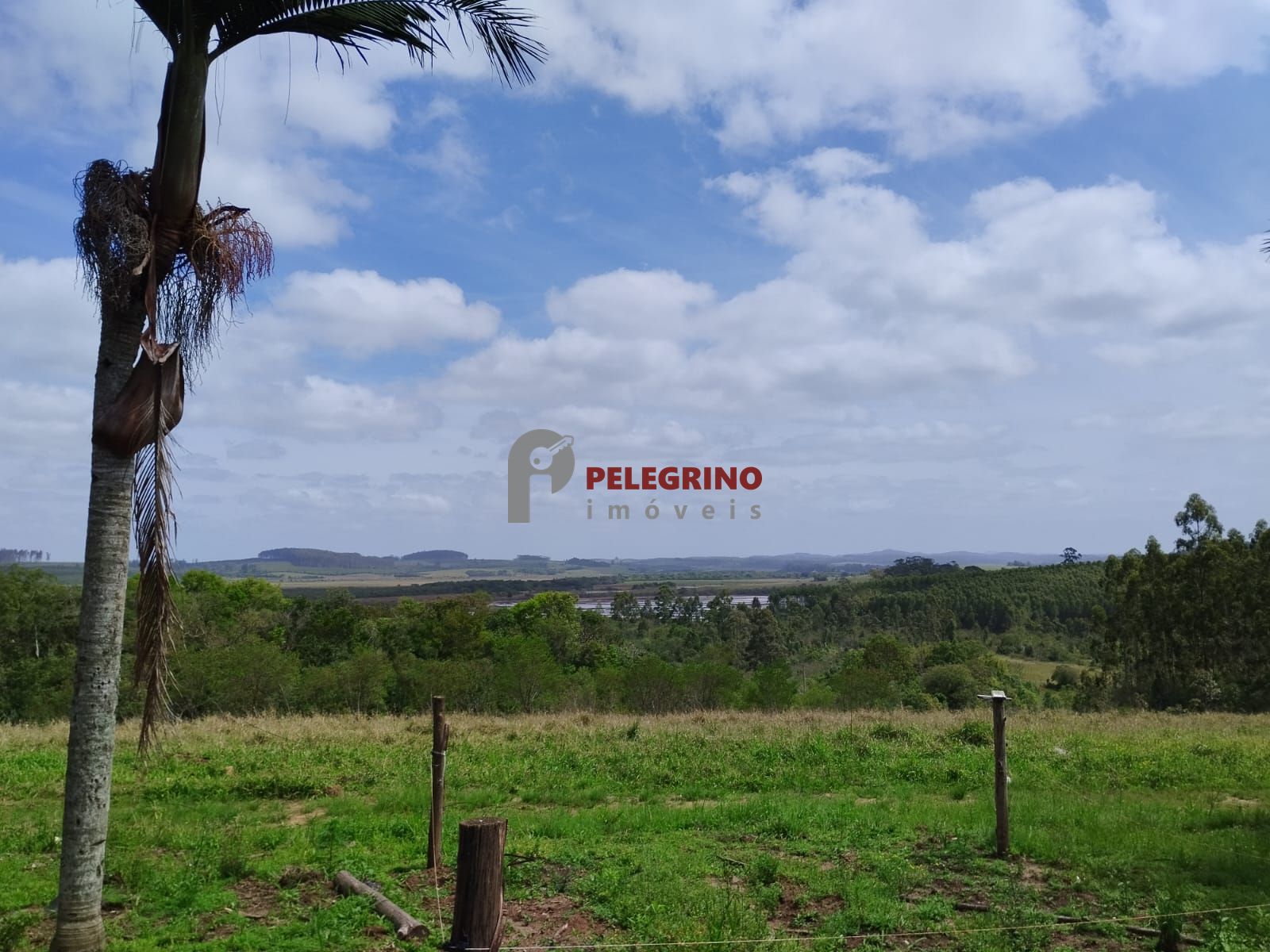 Pelegrino Imóveis vende Chácara em Tapes