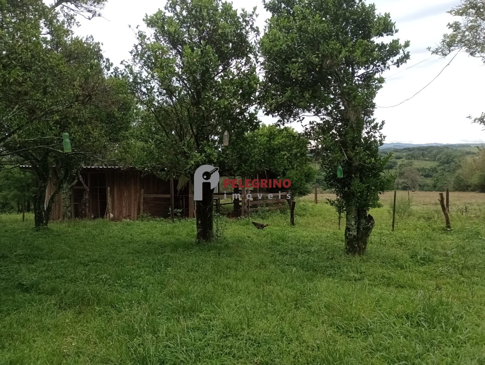 Pelegrino imóveis vende sitio em sentinela do sul