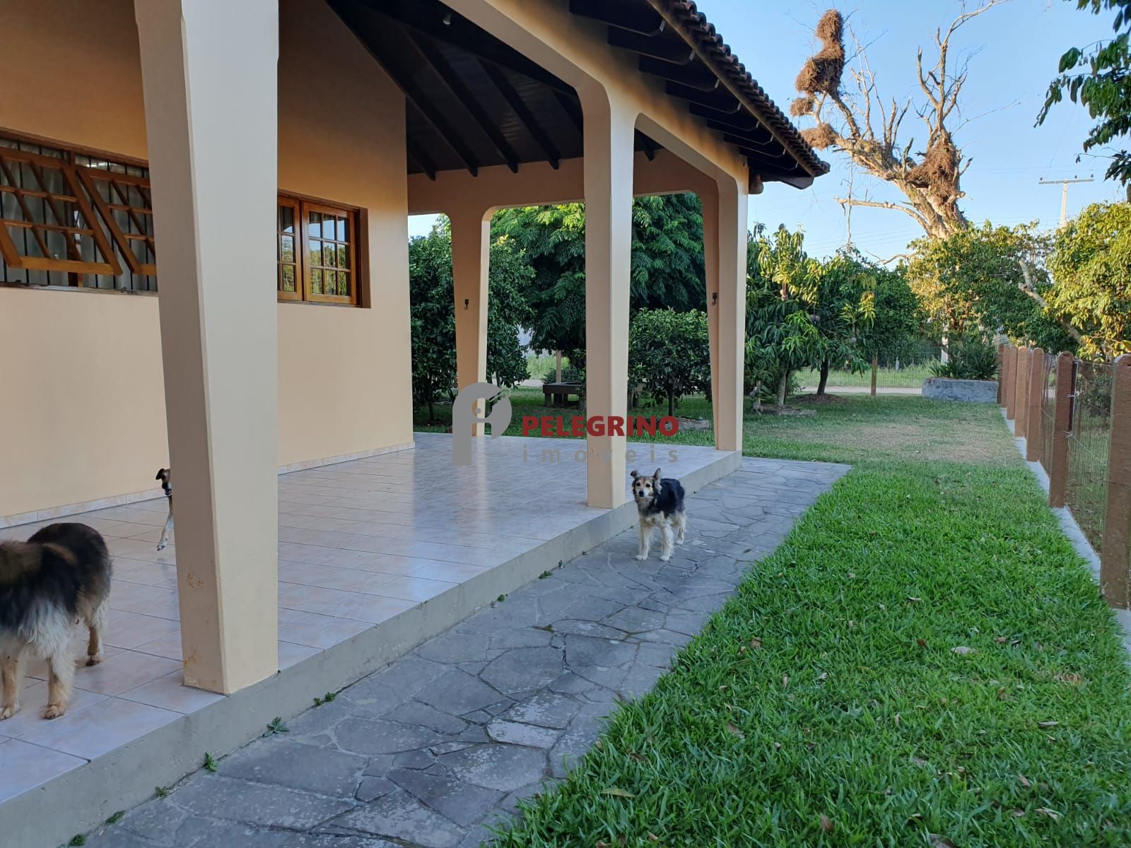 Pelegrino imóveis vende casa na pinvest em tapes