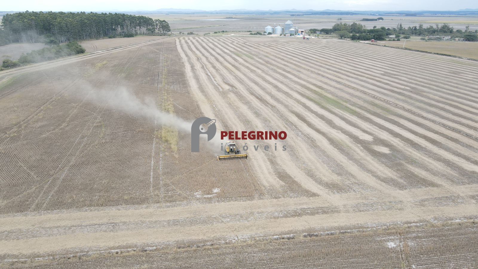 Pelegrino imóveis vende chácara em tapes - foto 2