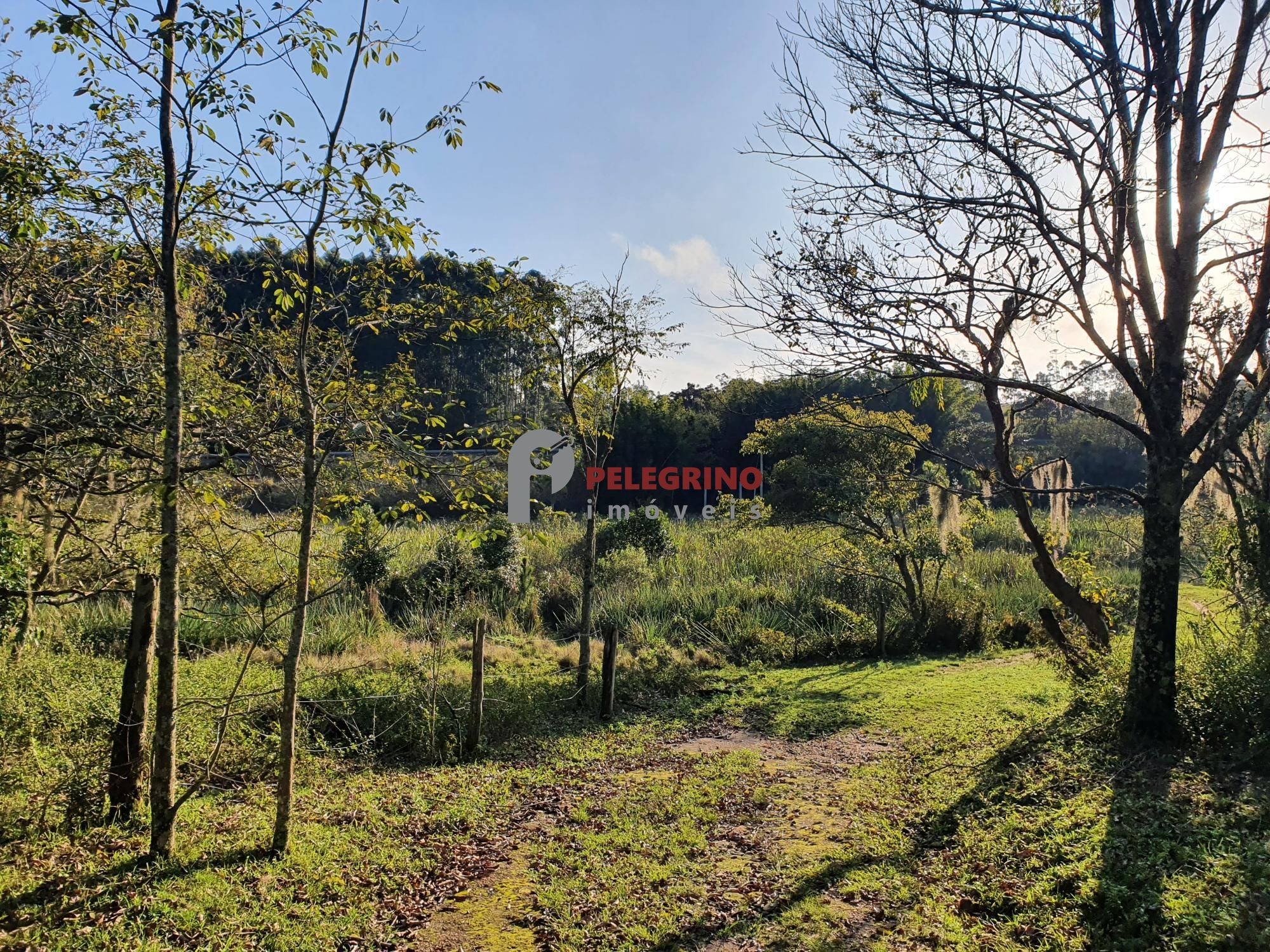 Pelegrino Imóveis vende chacára na BR 116
