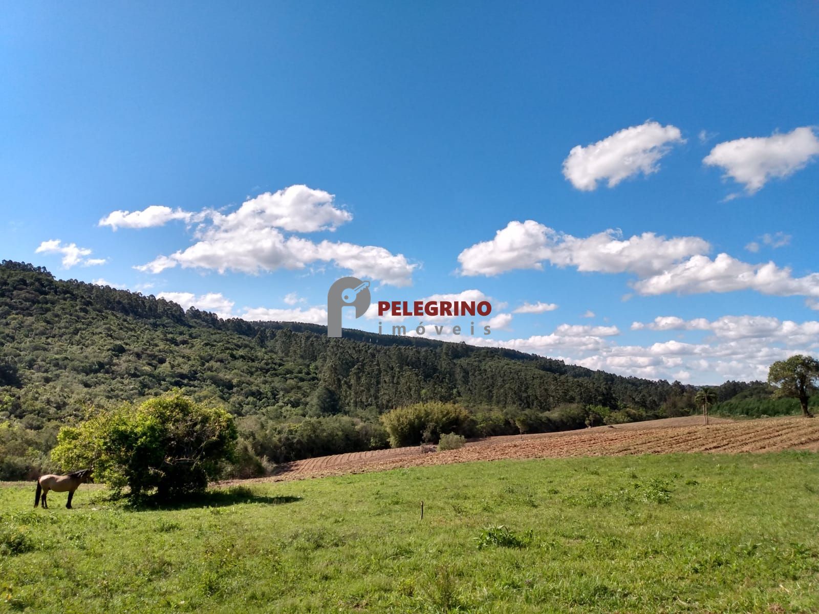 Vende sítio de 90,5948 hectares a 6km do centro de cerro gra
