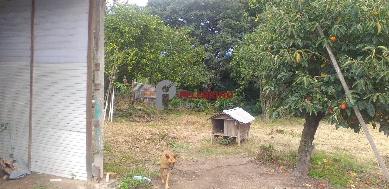 Pelegrino Imóveis vende casa com dois terrenos na General Osório