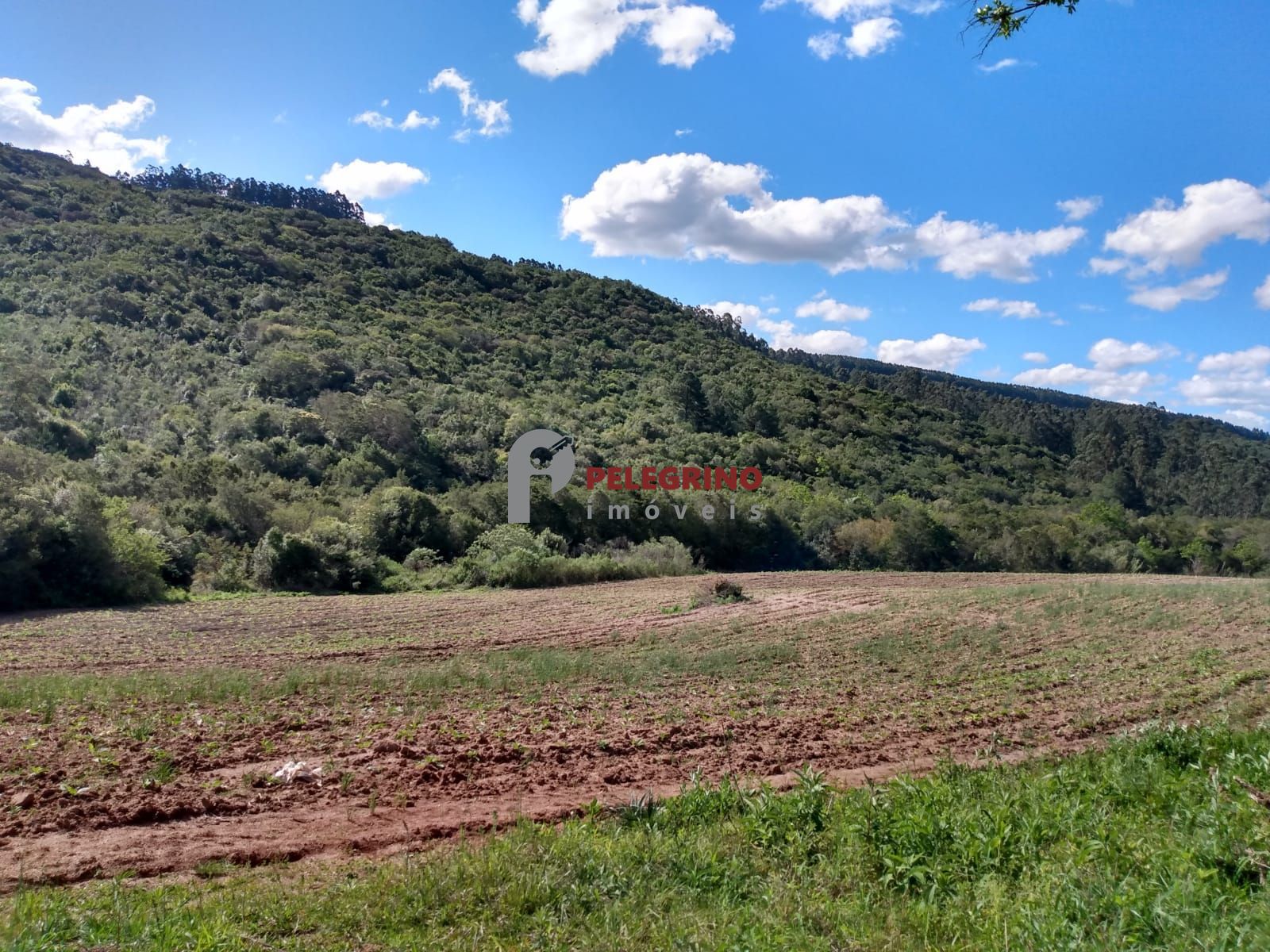 Vende sítio de 90,5948 hectares a 6km do centro de cerro gra