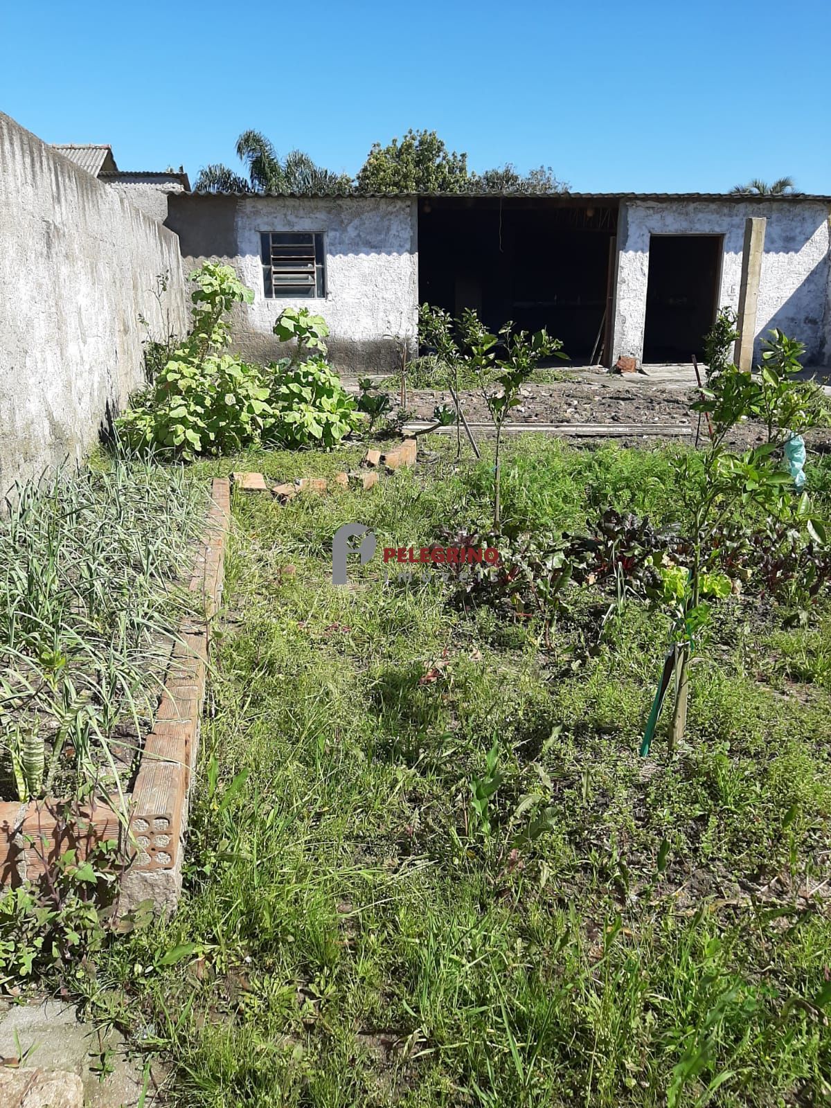 Pelegrino Imóveis vende casa no Centro de Tapes