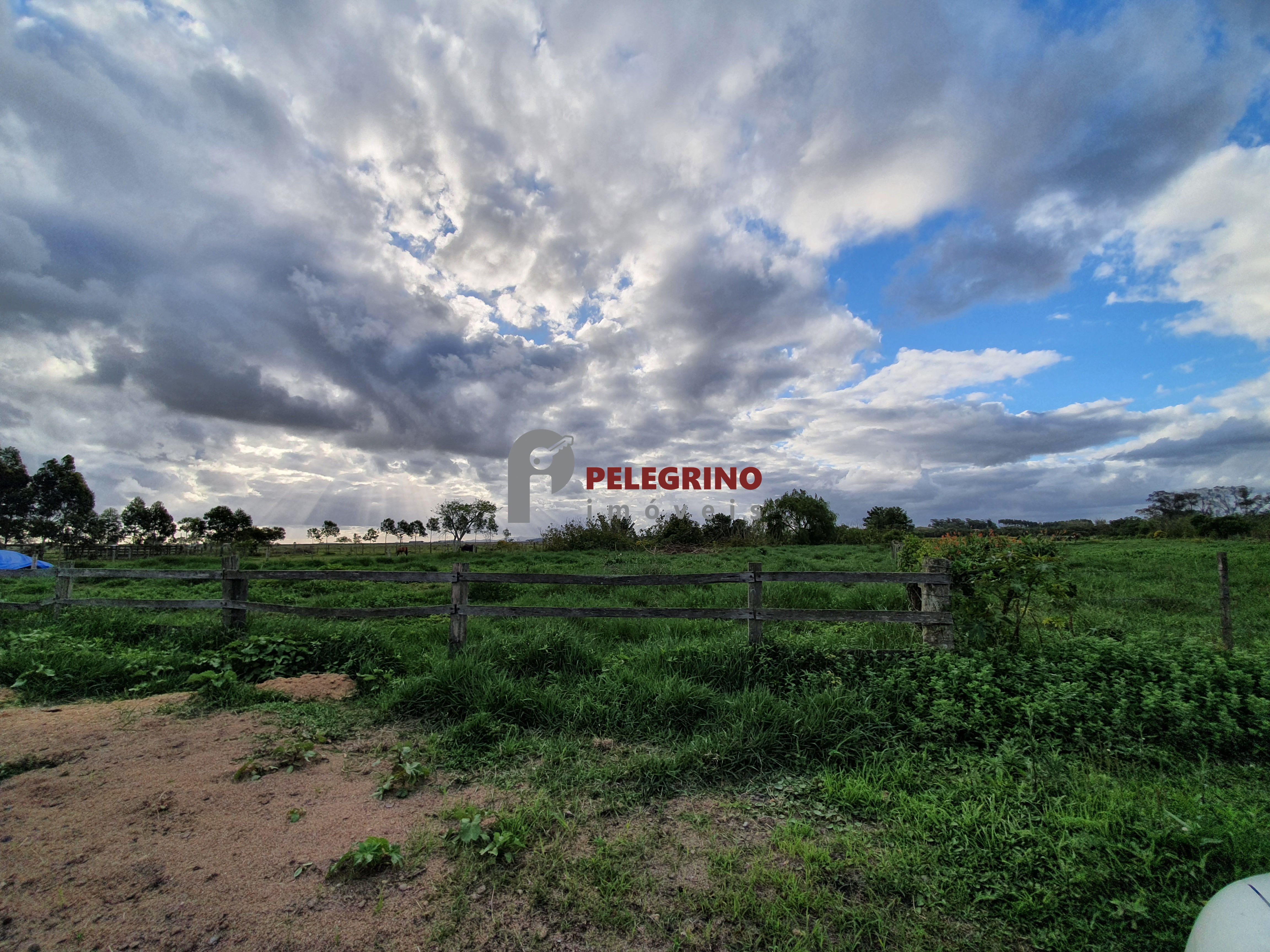 Pelegrino Imóveis vende Sítio em Tapes