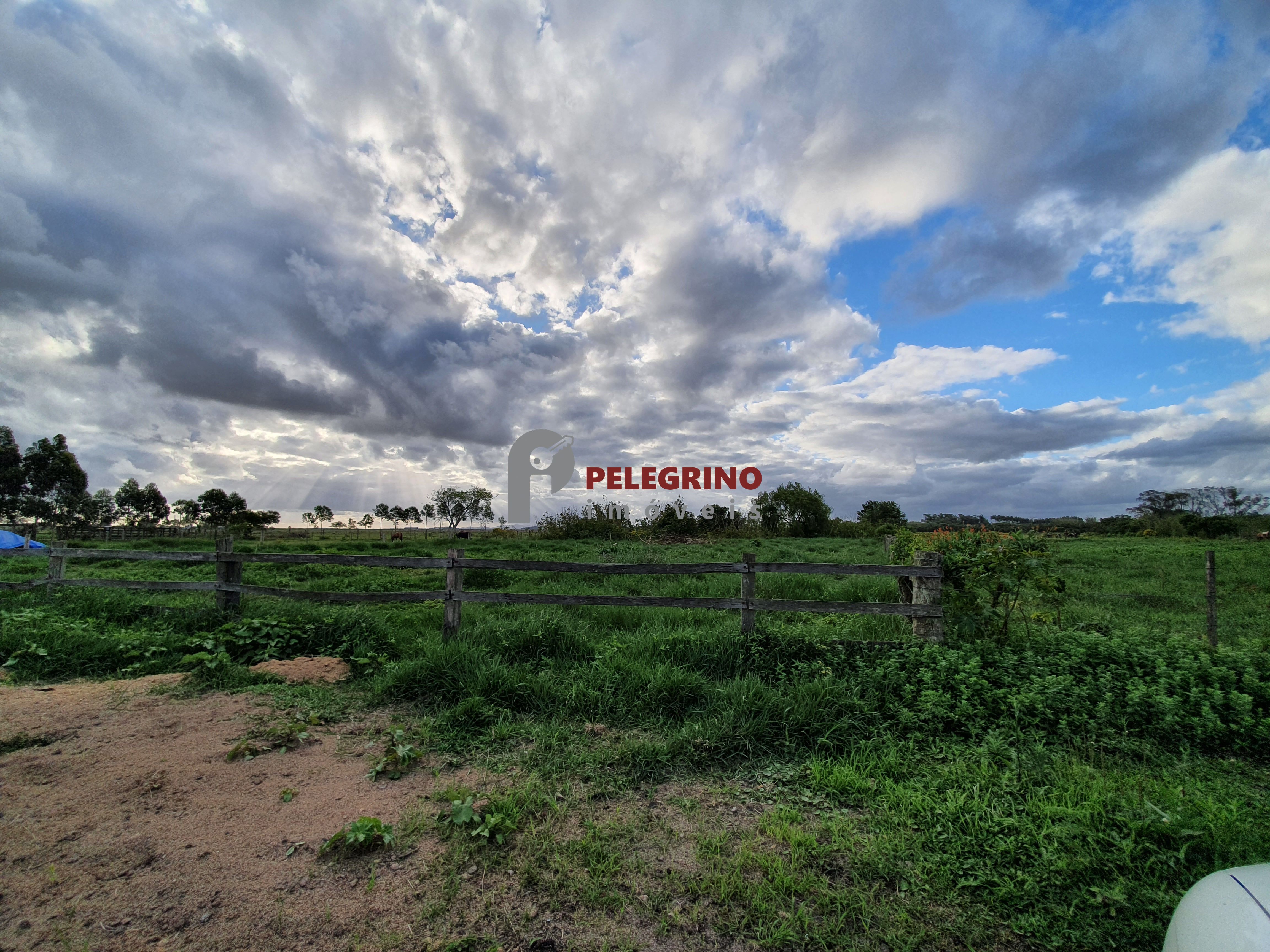 Pelegrino Imóveis vende Sítio em Tapes