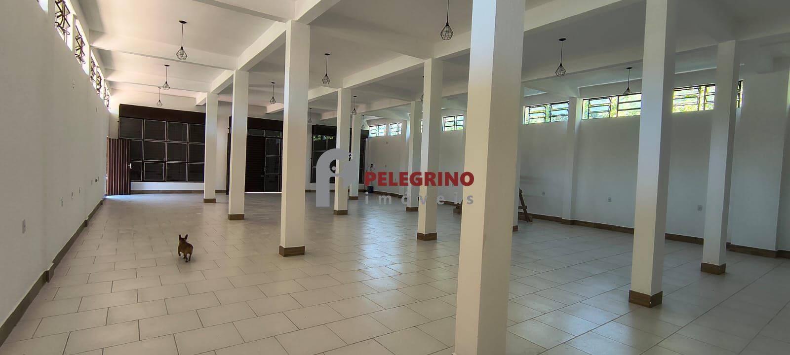 Pelegrino imóveis aluga prédio comercial no bairro pinvest - foto 8