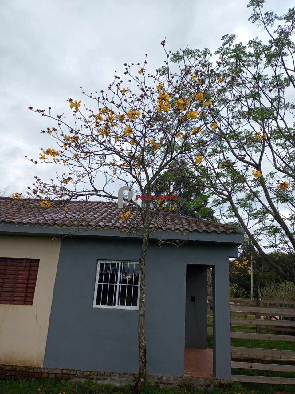 Pelegrino Imóveis vende chácara em Sentinela do Sul