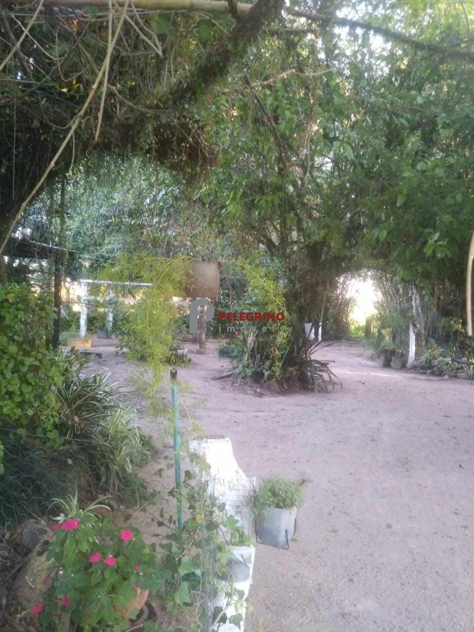 Pelegrino Imóveis vende sítio em Tapes