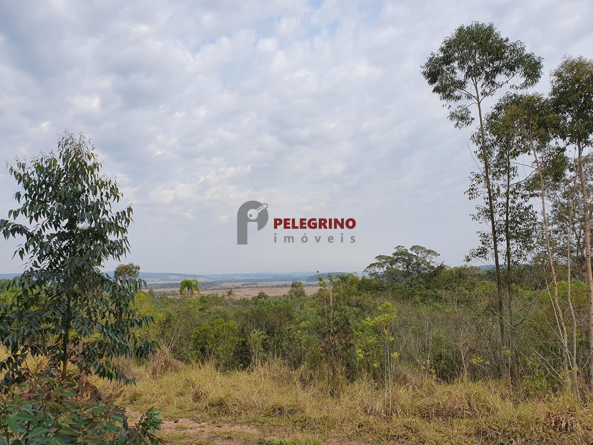Pelegrino imóveis vende chácara em tapes