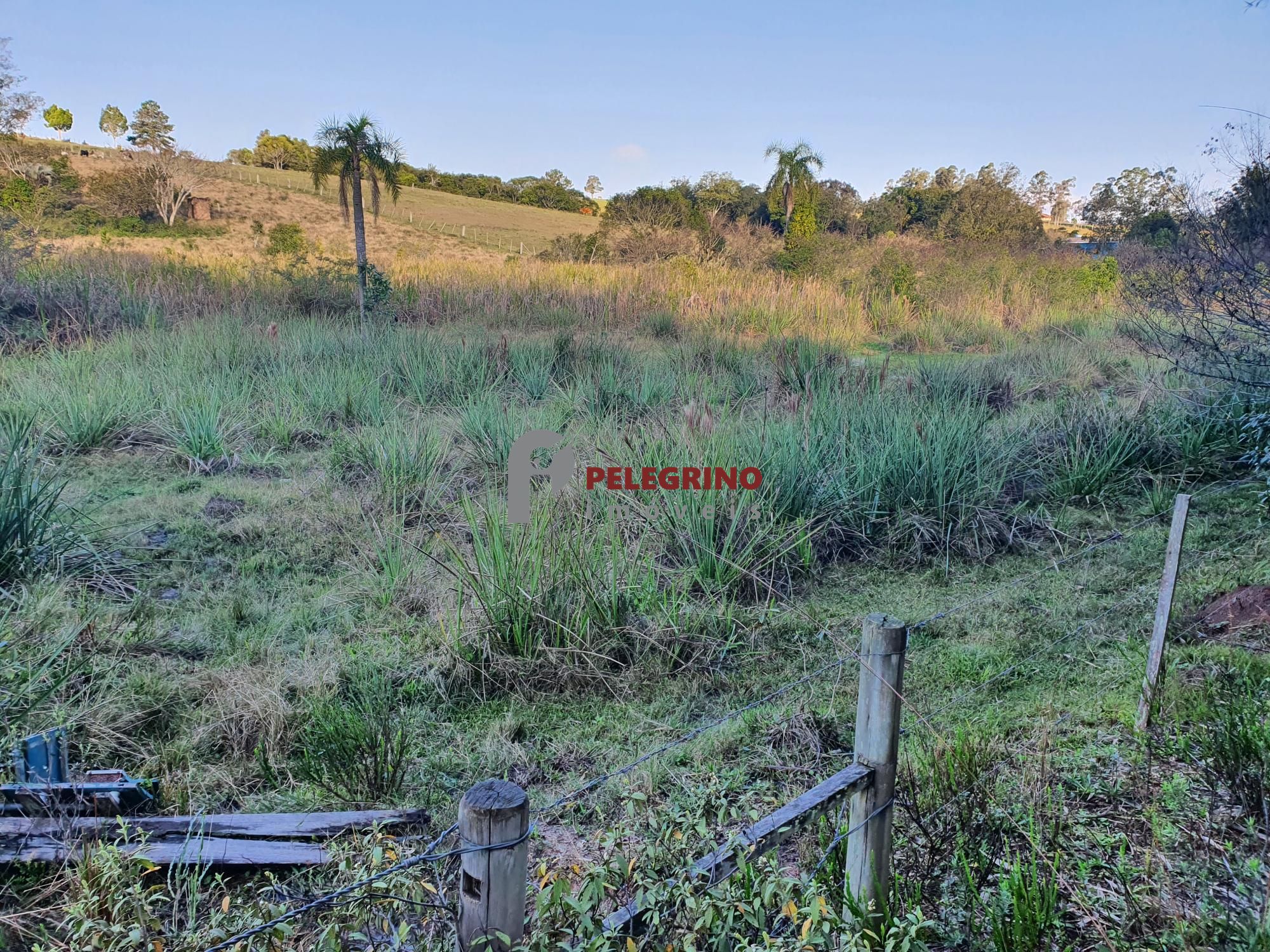 Pelegrino Imóveis vende chacára na BR 116
